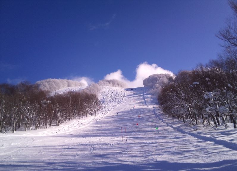 青森で出会えるおすすめスポット「八甲田国際スキー場」