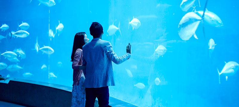 スマリッジ_婚活_成婚インタビュー