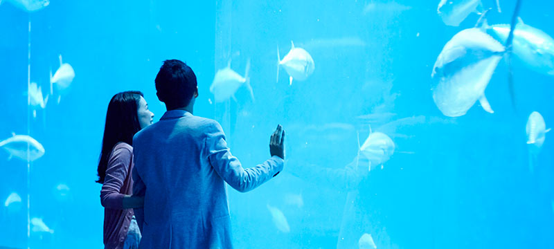 スマリッジ_婚活_成婚インタビュー